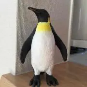 みんみの画像