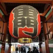 T Tの画像