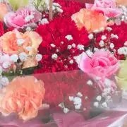 cocoの画像