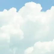 sora