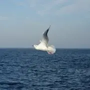 さとみ★断捨離中★の画像