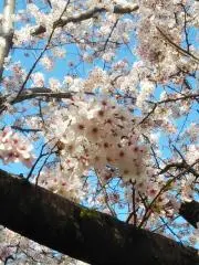 みったんの画像