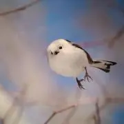 #P