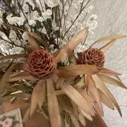 ネヨの画像