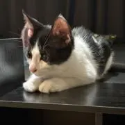 ひろみ