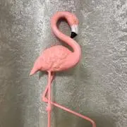 フラミンゴの画像