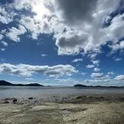tqmの画像