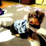 ゆーちゃん