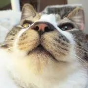 ロビ茶 ※プロフ長いけど読んで下さい。