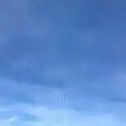 ottoの画像