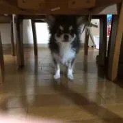 あく