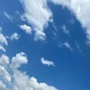 saku-iiroの画像