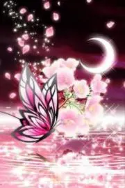☪︎ 夜空星月 ☪︎の画像
