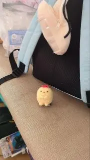 ５０１４の画像