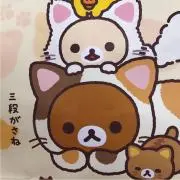 ちこちゃんの画像