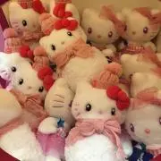 さやきてぃの画像