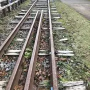 tの画像