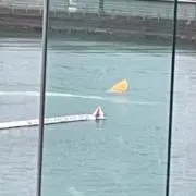 清々の画像