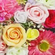 あんこ*プロフお読み下さい。の画像