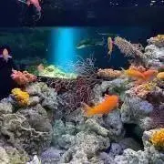 umiの画像
