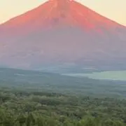 kazhの画像