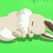 イーブイ大好き