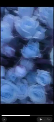 18の画像