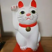 風太の画像