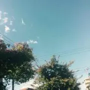 ほしゃ⭐︎