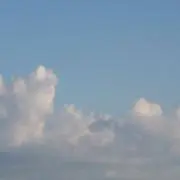 ばんしぃの画像