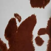 ひさの画像