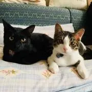 まなの画像