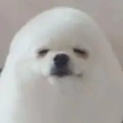 みなみ