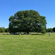 Ma⓪の画像