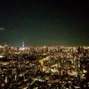 ぽんたの画像
