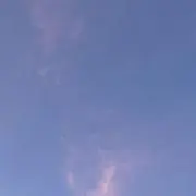 bettyの画像