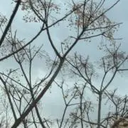Uの画像