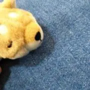 Aの画像