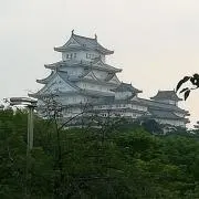 Kotokotoの画像