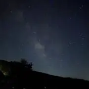 はちゃの画像