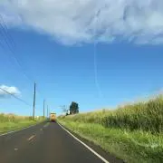 SAKURAの画像