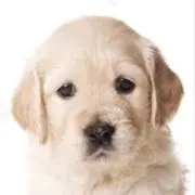 しーちゃん