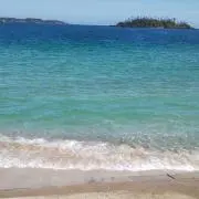 チョコミントの画像