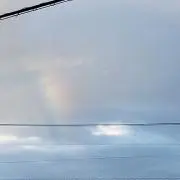 たかぼうの画像