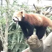 友の画像