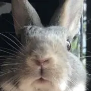 ゆーの画像