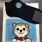 うちらんだむハウスの画像