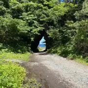 natuの画像
