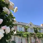 いちごの画像