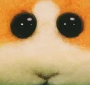 Image of 清